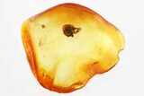 Detailed Fossil Pine Cone Scale In Baltic Amber #321904-1